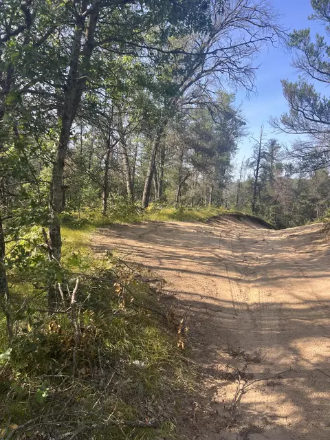 Sandy Trail, Grayling, MI 49738 photo 5
