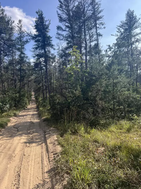 Sandy Trail, Grayling, MI 49738 photo 8