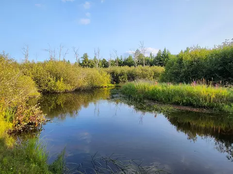 36 Ausable River Trail Roscommon Mi 48653 Trl, Roscommon, MI 48653