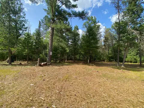 220 Mapes Rd, Luzerne, MI 48636 photo 19