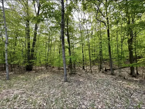 228229 Woodcock Court Gaylord Mi 49735 Ct, Gaylord, MI 49735