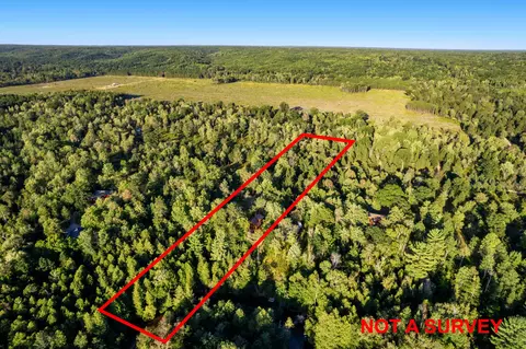 8653 Partridge Roost Rd, Frederic, MI 49733 photo 48