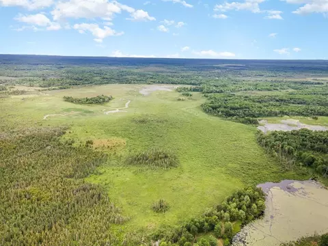 240 Acres Bowman Trail Houghton Lake Mi 48629 Trl, Houghton Lake, MI 48629