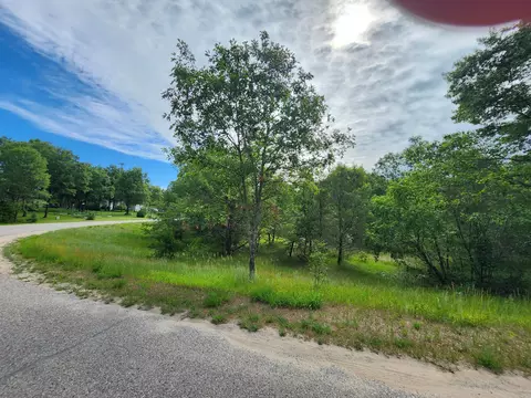Tuscarora Circle, Indian River, MI 49749