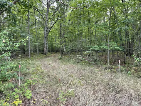 Nnn Redwood Road, Roscommon, MI 48653