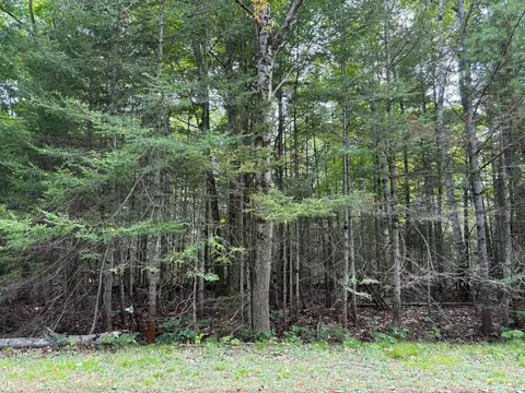 lot21 E Renwick Cir, Presque Isle, MI 49777