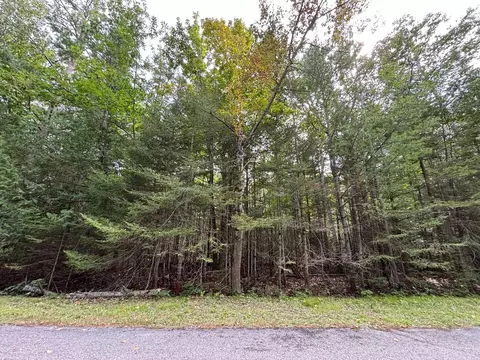 lot22 E Renwick Cir, Presque Isle, MI 49777