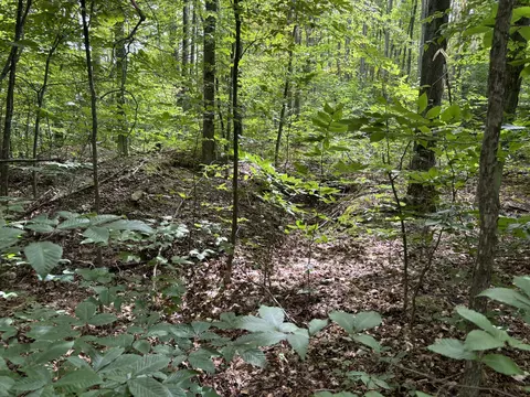 Cameron Bridge Road, Frederic, MI 49733 photo 3