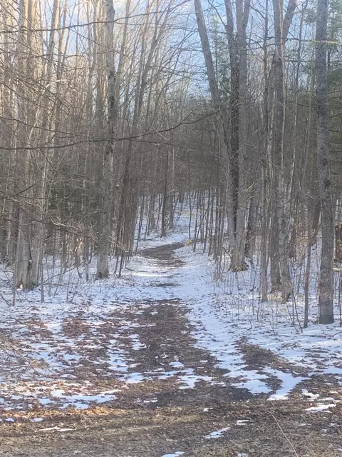 Cameron Bridge Road, Frederic, MI 49733 photo 6