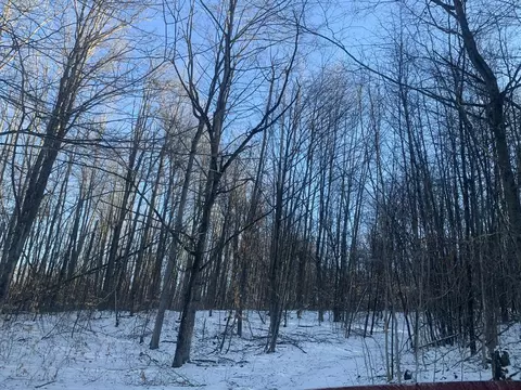 Cameron Bridge Road, Frederic, MI 49733 photo 7