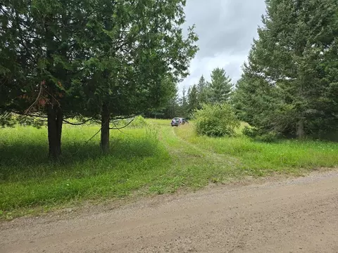 Mielke Road, Hawks, MI 49743
