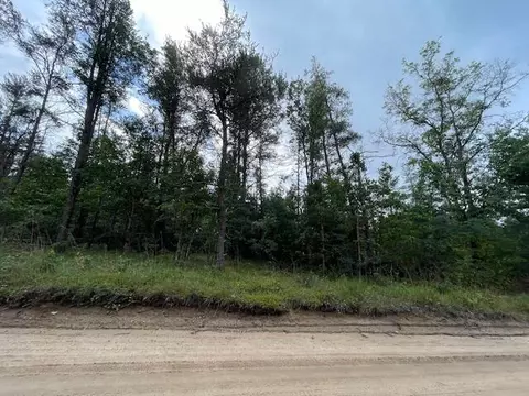 6 Acres Hickey Creek Road Roscommon Mi 48653 Rd, Roscommon, MI 48653