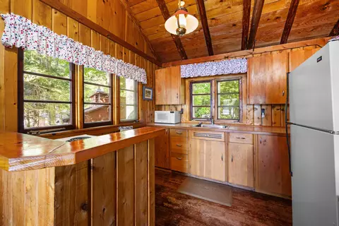 368 Delta Ln, Boyne Falls, MI 49713 photo 19
