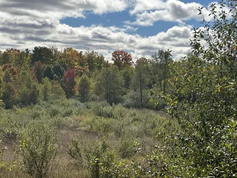 6065 M 32 Atlanta Mi 49709, Atlanta, MI 49709