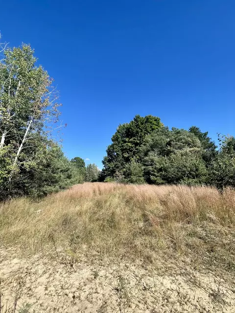 2595 Bass Lake Road South Boardman Mi 49680 Rd, South Boardman, MI 49680