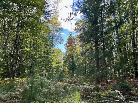 15149 Wildlife Trail Wolverine Mi 49799 Trl, Wolverine, MI 49799
