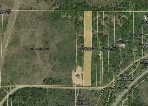 7716 Fulmer Road Wolverine Mi 49799 Rd, Wolverine, MI 49799 photo 2