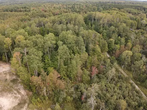 7716 Fulmer Road Wolverine Mi 49799 Rd, Wolverine, MI 49799