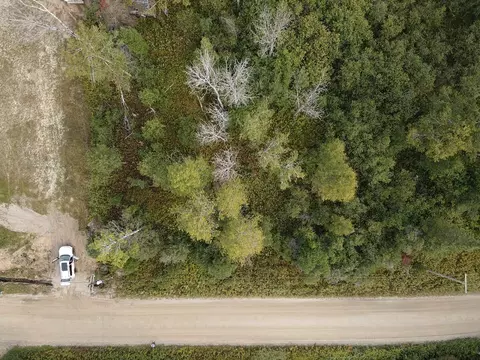7716 Fulmer Road Wolverine Mi 49799 Rd, Wolverine, MI 49799 photo 3