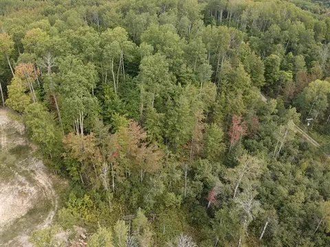 7716 Fulmer Road Wolverine Mi 49799 Rd, Wolverine, MI 49799 photo 6