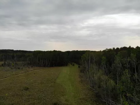 Bluffs Highway, Onaway, MI 49765 photo 16