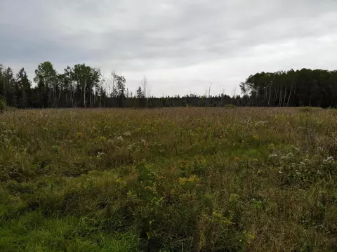 Bluffs Highway, Onaway, MI 49765 photo 19