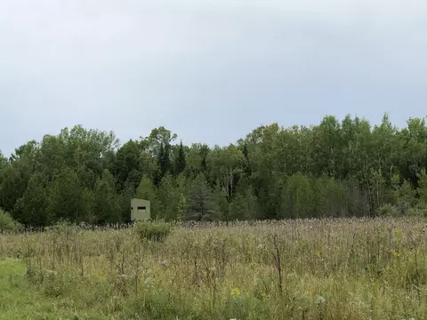 Bluffs Highway, Onaway, MI 49765 photo 13