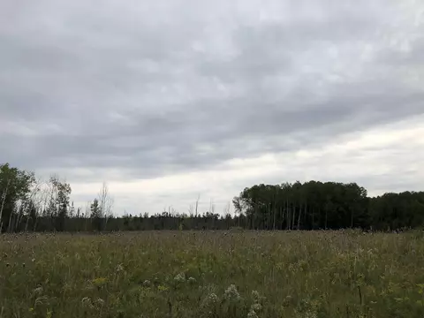 Bluffs Highway, Onaway, MI 49765 photo 20