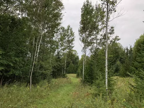Bluffs Highway, Onaway, MI 49765 photo 4
