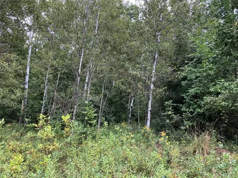 Bluffs Highway, Onaway, MI 49765 photo 12