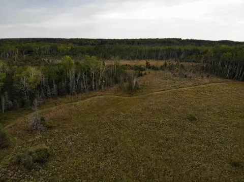 Bluffs Highway, Onaway, MI 49765 photo 17
