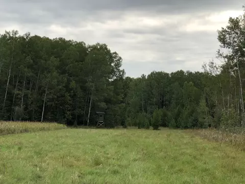 Bluffs Highway, Onaway, MI 49765 photo 5