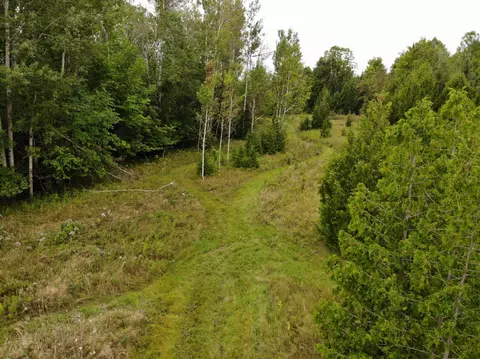 Bluffs Highway, Onaway, MI 49765 photo 9