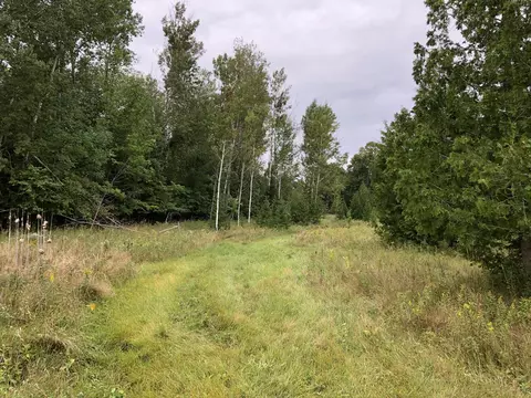 Bluffs Highway, Onaway, MI 49765 photo 6