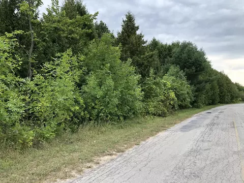 Bluffs Highway, Onaway, MI 49765 photo 21