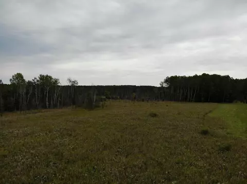 Bluffs Highway, Onaway, MI 49765 photo 14