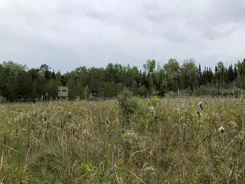 Bluffs Highway, Onaway, MI 49765 photo 11