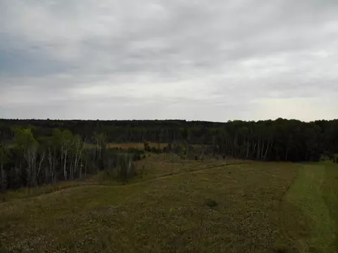 Bluffs Highway, Onaway, MI 49765 photo 15