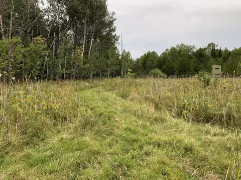 Bluffs Highway, Onaway, MI 49765 photo 10