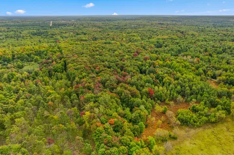 Old Stump Road, Gaylord, MI 49735