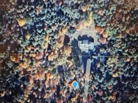 11210 Tranquil Trl, Roscommon, MI 48653 photo 3
