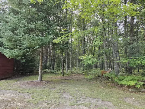 11210 Tranquil Trl, Roscommon, MI 48653 photo 38