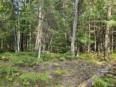 11210 Tranquil Trl, Roscommon, MI 48653 photo 37