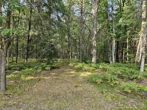 11210 Tranquil Trl, Roscommon, MI 48653 photo 36