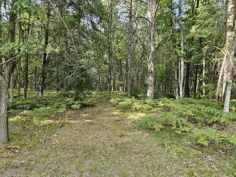11210 Tranquil Trl, Roscommon, MI 48653 photo 35