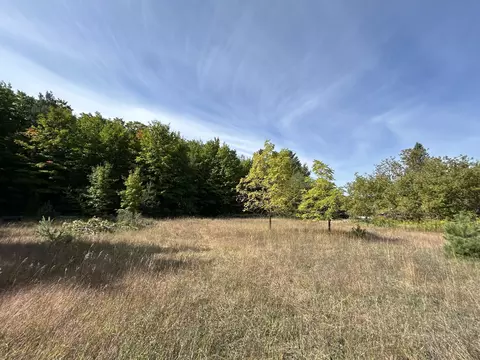 7729 Airport Rd, Vanderbilt, MI 49795 photo 2