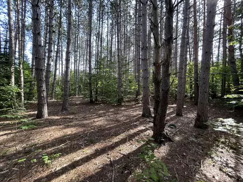7729 Airport Rd, Vanderbilt, MI 49795 photo 18