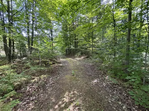 7729 Airport Rd, Vanderbilt, MI 49795 photo 17