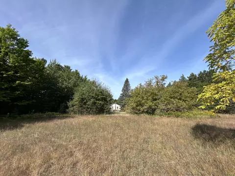 7729 Airport Rd, Vanderbilt, MI 49795 photo 16