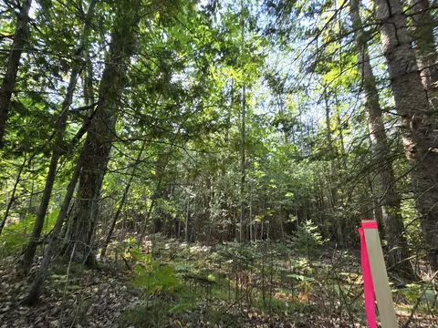 Parcel B E Kneeland Road, Fairview, MI 48621 photo 3